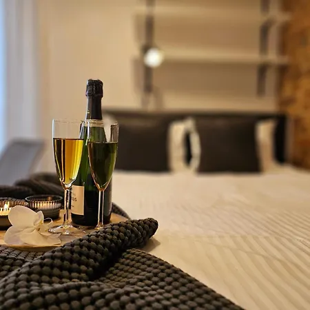 Urabn With Garden No 2a Katowice Free Private Parking, Self Check-in * Chorzow