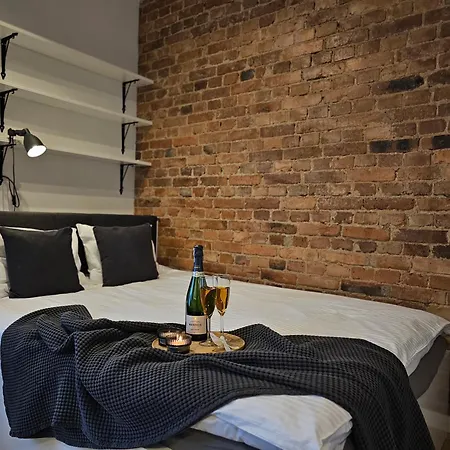 Apartment Urabn With Garden No 2a Katowice Free Private Parking, Self Check-in Chorzow