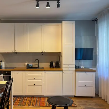 Urabn With Garden No 2a - Air Condition - Free Parking Chorzów